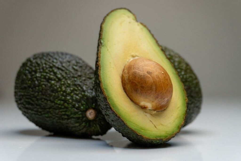 can french bulldogs eat avocado?