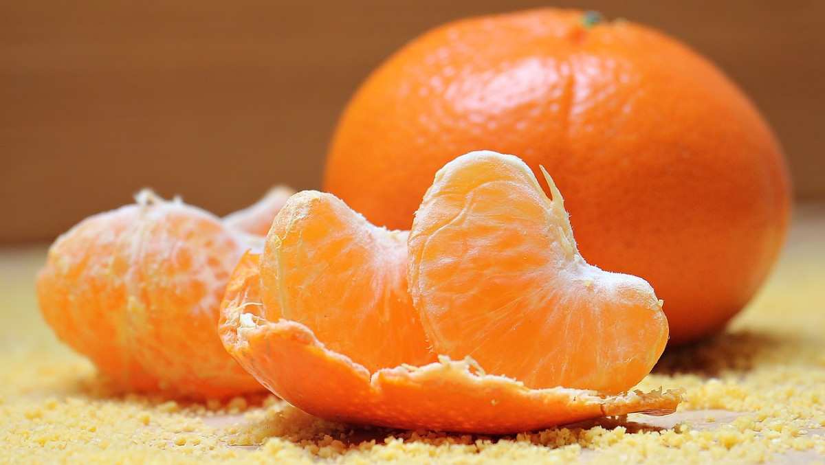 Can a french bulldog eat oranges Can french bulldogs eat oranges?